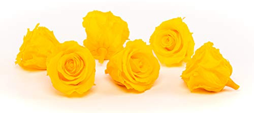 Rosen-Te-Amo | echte konservierte Rosen|6 gelbe Rosen-Köpfe |Ewige Rosen zum Deko Konservierte Blumen-Box |äußern Ihre dekorative Kreativität | Geburtstagsgeschenk für Frauen Mama Freundin Oma