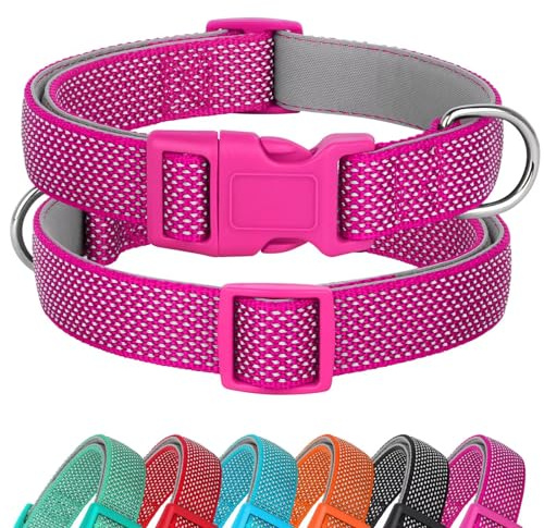 Didog Reflektierendes Hundehalsband mit Schnalle, verstellbares weiches Neopren-gepolstertes Nylon-Haustierhalsband für kleine, mittelgroße und große Hunde, Hot Pink, L