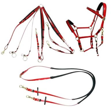 LYFDPN Redini per Cavalli Sella per Cavalli Briglia da Equitazione di Resistenza Set Completo per l'endurance e Il Trail Riding (TPU Red)