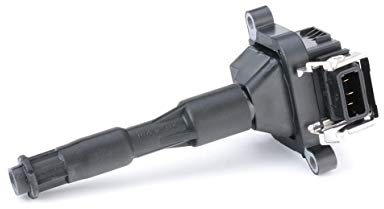 BOSCH 0221504029 Zündspule für BMW E36 E46 E39 E38 E31 X5 E53 Z3 Z8 12137599219