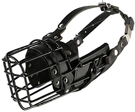 Dingo Gear Gummierte Metallmaulkorbe für Malinois Hündin