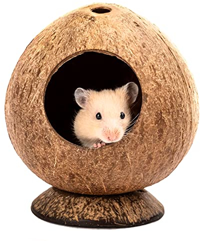 QMAAAYS Hamsterhaus, Kokosnussschalen-Vogelhaus, Lebensraum für kleine Haustiere, tropischer Stil, 12 x 12 x 13,5 cm