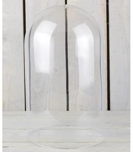 EMH Campana de cristal de tamaño mediano, 31 x 15 cm