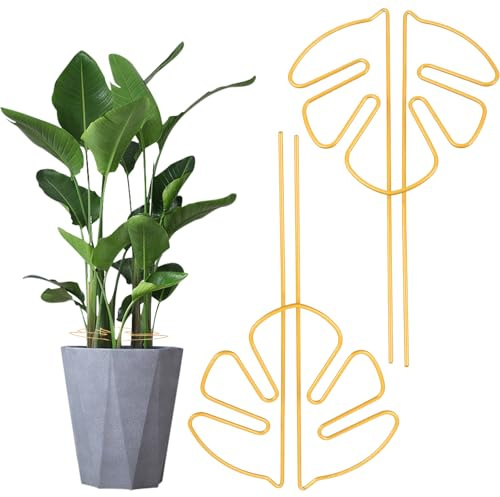 XIANJIA Lot de 2 supports pour plantes grimpantes Monstera - En acier inoxydable - Pour la culture de plantes d'intérieur et de jardin - Alocasia - Plante Monstera (doré)