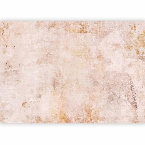 murando - Carta da Parati Moderna per Soggiorno, Calcestruzzo, 350x256 cm | Fotomurali in TNT, Decorazione da Muro XXL, Poster Giganti da Parete, Astratto, Produzione Europea