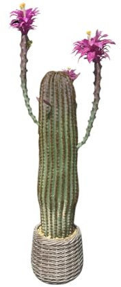 PortoAlegre Cactus artificiel en pot - Plantes succulentes artificielles - Plantes succulentes décoratives - Cactus artificiel pour la maison, le jardin, le bureau, la décoration - 43 x 36 x 109 cm