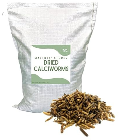 Dried Calciworms 100g Premium Wild Bird & Hedgehog Food MCW