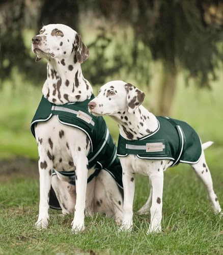 WALDHAUSEN Dog Rain Blanket Back Length 60 cm Fir Green