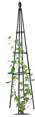 RADAAB Tuteur de Jardin，Support pour Plantes grimpantes Pyramide en métal 90 à 180cm，Treillis pour d'Extérieur, Colonne Rosier, Arche Plante grimpante, Black (Size : 71/180cm H)