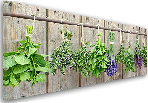 Feeby Bilder Kräuter Gewürze für die Küche XXL 120x40 cm 1Teilig Modern Leinwandbilder Wandbilder Bild auf Leinwand Kunstdruck Wanddeko Wohnzimmer Design Natur Pflanzen Grün