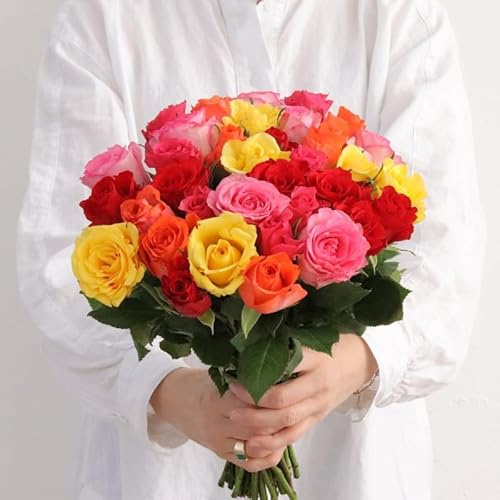 Fleurs et Délices - Brassée de Roses Multicolores - Fleurs Fraîches - Bouquet de Roses Multicolores, Issues du Commerce Équitable, Idée Cadeau, 35 Tiges
