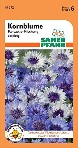 Samen Pfann H592 Kornblume Classic Fantastic (Kornblumensamen)