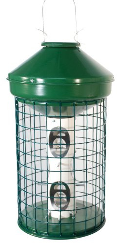 Audubon Avian Series Mixed Caged Bird Feeder