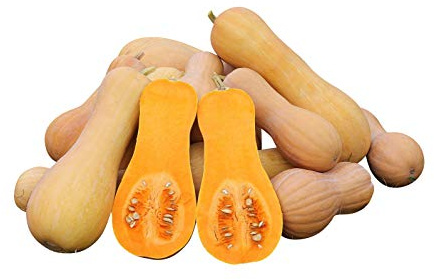 Kürbis Butternut Waltham (Cucurbita moschata) 20 Samen