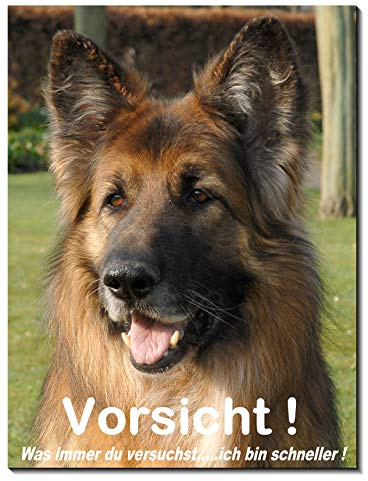 Deutscher-Schäferhund-Schild-3 Größen-Aluminium Verbund-Hund-Tierschild-Hunde-Warnschild-Hinweisschild (1452-24 -150 x 100 x 2 mm mit Klebepads)
