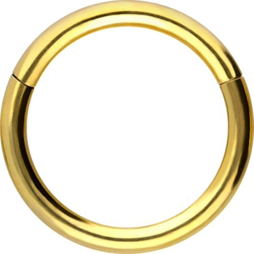 PIERCINGLINE Segmentring Clicker aus Titan - Piercing für Nase, Septum, Ohr, Helix oder Tragus