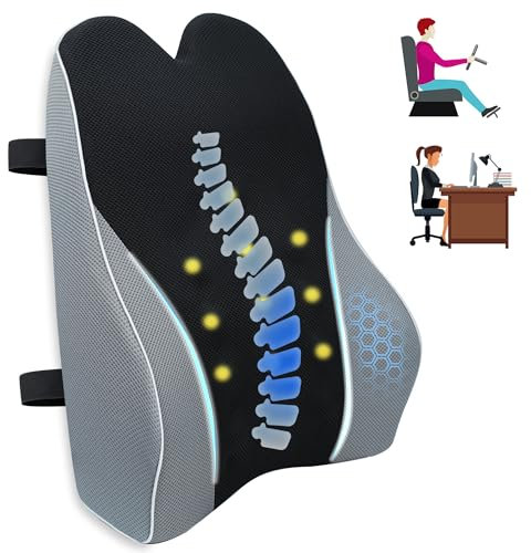 Lofty Aim Lumbar Support Pillow for Office Chair, Ergonomic Memory Foam Lumbar Cushion for Back Pain Relief & Improve Sitting Posture, Back Support for Office Chair, Car, Desk Chair (Black&Gray)