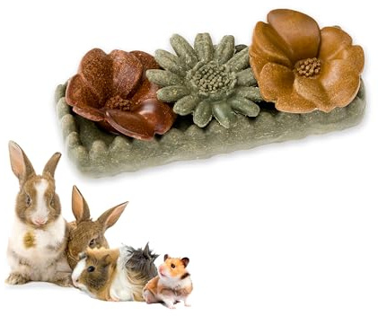 Ferplast Snack Naturale per Roditori, Criceti, Cavie e Conigli, Favorisce l’Igiene Dentale, Stimola il Gioco e offre Gusto e Benessere ogni giorno, a forma di Fiore