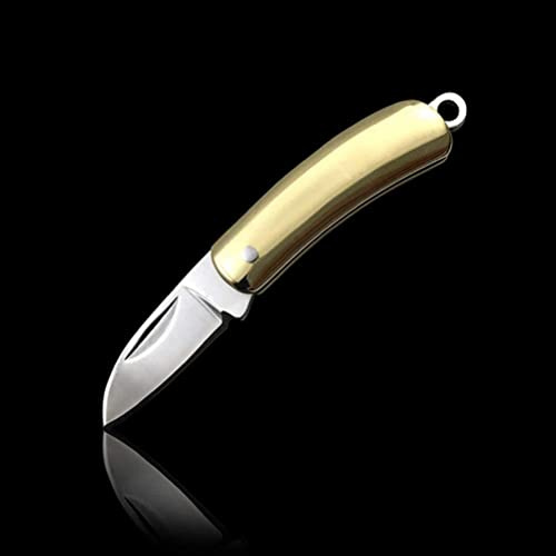 Generisch Outdoor Mini Messer Camping Faltmesser Taschenmesser klein Schlüsselanhänger für Überlebens Camping