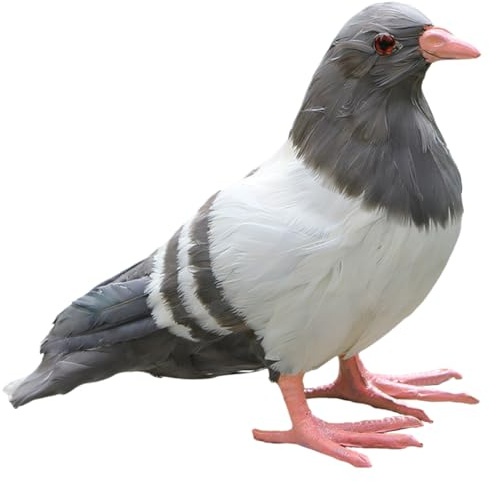 Muteitt Künstliche Taube Figur Realistische Taube Ornament Vogel Statue Für Garten Dekoration