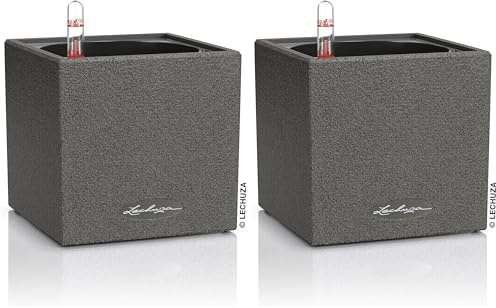 Lechuza Canto Stone 14 hochwertiger Kräuterwürfel mit Stick-Bewässerungssystem, graphitschwarz (Packung mit 2)