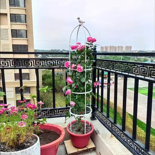 GLMGBP Torre Obelisco Traliccio da Giardino Traliccio in Fibra di Vetro Torre per Rose Supporto per Piante in Vaso 22x95cm 22x120cm 22x145cm per Varie Piante Rampicanti Rose Viti (Colore: Bianco, D