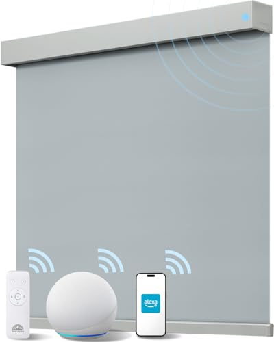 JaeJaes Alexa Smart Blinds for Windows, Blackout Electric Roller Shades with Remote Control, Easy Install Automatic Blinds for Indoor (60W x 183H CM, Grey)