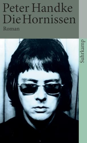 Die Hornissen: Roman (suhrkamp taschenbuch)