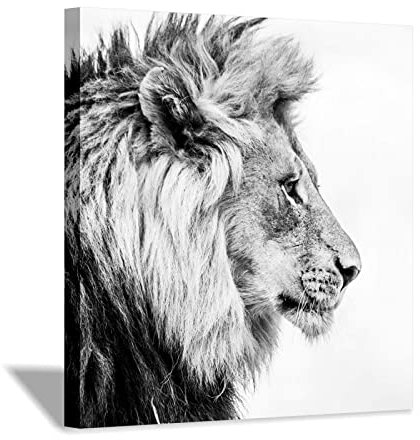 Löwe-Leinwand-Kunst-Wand-Dekor-Bild: Tierporträt-Grafik-Druck-Malerei auf eingewickeltem Leinwand-Kunstwerk 30x30cm (12x12in) Innenrahmen