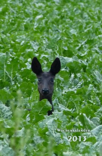 Wochenkalender 2013: Schwarzes Reh, rechte Seite Kalender, linke Seite Notizbuch, 1 Woche = 1 Seite, ca A5