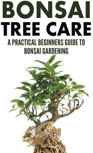 Bonsai Tree Care: A Practical Beginners Guide To Bonsai Gardening