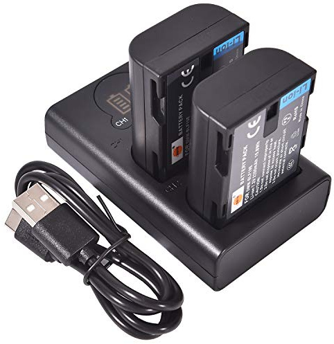 DSTE 2X DMW-BLF19E Batterie de Rechange + Chargeur Double USB avec écran LCD Compatible pour DMW-BLF19 et Panasonic Lumix DMC-GH3, DMC-GH3GK, DMC-GH3H,DMC-GH3HGK, DMC-GH3KBODY,DMC-GH4H, DMC-GH4