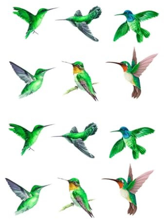 Zerodeko 2 Sätze Anti-Vogel-Aufkleber Valentins-Fensteraufkleber für Glasfenster Warnvogel-Fensteraufkleber Anlage Zimmerpflanzen Nicht klebende Fensterfolie Glas haften 3d