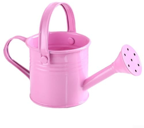 SPORTARC 1 pcs Arrosoir, Petit Pot de Pulvérisation d'Eau de Jardin Bouilloire à Fleurs Arrosoir en Métal à Pulvériser (pour PINK)