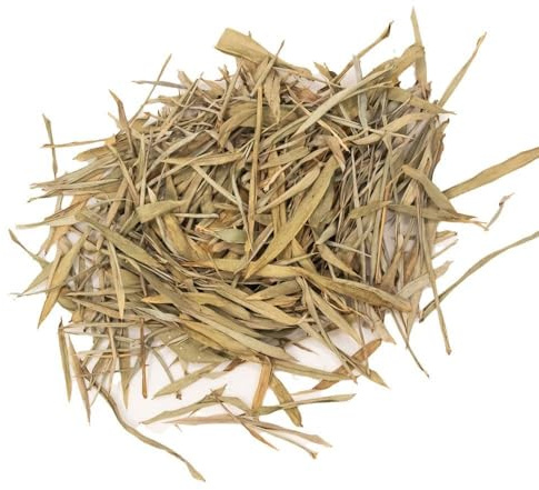 Reptiles-Planet Tropiskt Bambu Blad 2 Liter