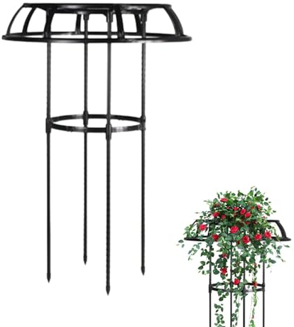 Enrejado trepador - Enrejado para plantas de frambuesa, soporte para plantas en maceta, enrejado de jardín de acero resistente, enrejado de flores de frambuesa en forma de paraguas, enrejado de pie