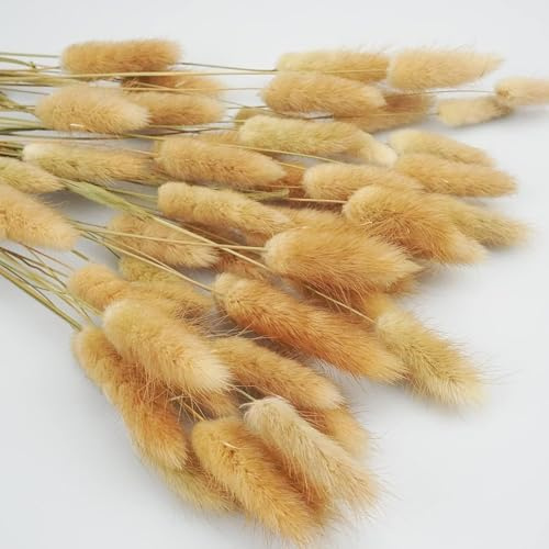 WANYI 60 Stück 43CM Trockenblumen Hasenschwänze Pampasgras Deko Natürliche Boho Trockenblumenstrauß Bunny Tails Getrocknete Blumen für Tischdeko Hochzeitdeko Wohnzimmer Schlafzimmer (Natur)