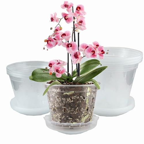 WDragon Transparenter Orchideentopf, 11 cm, 14 cm, 17 cm, Kunststoff-Pflanztöpfe mit Löchern und Untertassen, Kindergartentöpfe zum Umtopfen von Orchideen (9, je 3 von 11, 14, 17 cm)