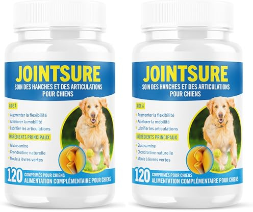 JOINTSURE Senior – Comprimés Premium de Soin articulaire avancé pour Chiens | 120 comprimés avec glucosamine et Moule Verte pour la mobilité et la solidité des articulations (Lot de 2)
