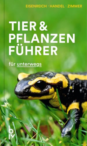 Tier- & Pflanzenführer: 900 Arten einfach bestimmen - der kompakte Naturführer für unterwegs