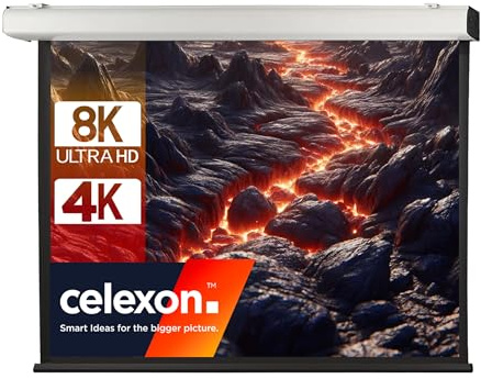 celexon Expert XL Motor-Leinwand 175 | 350x265 cm 4:3 | elektrische 4K, Full-HD Installations-Leinwand für jahrelange Projektionsfreude mit Ihrem Beamer | zur Decken- & Wandmontage