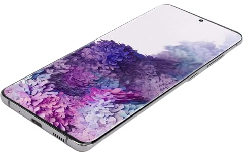 Eacam Professionell LCD-skärm för S20 Plus 5G med Fingeravtrycksfunktion 6,7 Tums Digitaliseringsenhet (Grå)