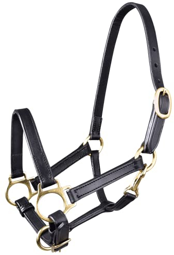 WALDHAUSEN Star Leder Fohlenhalfter, schwarz