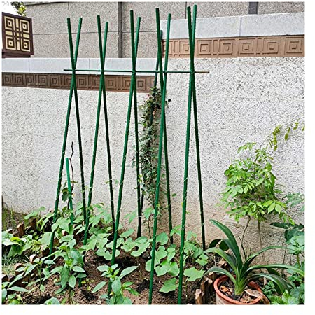 20Stück Pflanzenstab, Orchideenstab Plant Sticks Pflanzenbindern Zum Stützen von Kletterpflanze Orchideen Tomate, Tomatenstangen rankhilfe, Rankstab zimmerpflanzen (L:150cm/59in,D:20mm/0.78in)