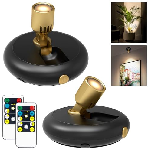 Indoor Plant Spotlight Battery Operated,Picture Light with Remote,Wall Painting Uplight,Wireless Dimmable Timer ,Spot Light for Plants Trees Pictures Display Painting Art Frame Gallery Portrait