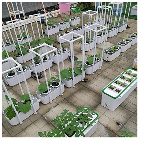 Kit de système de culture hydroponique, Système de culture hydroponique intelligent avec contrôleur Auto Remind Auto-arrosage Planter 60quot; Treillis d'escalade for tomate concombre pour l'entretien