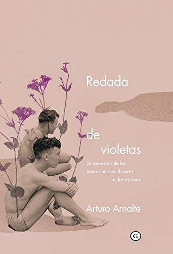 Redada de violetas: La represión de los homosexuales durante el franquismo (COLECCION G)