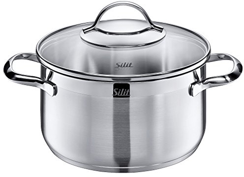 Silit Achat Kochtopf groß 20cm, Glasdeckel, Fleischtopf Induktion 3,3l, Edelstahl teilmattiert, unbeschichtet, backofengeeignet