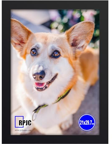 RPJC Bilderrahmen A4 aus Massivholz und High-Definition-Glas Display Bilder 21 x 29,7 cm für Wandmontage Fotorahmen Schwarz