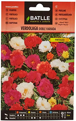 Semillas Batlle Doppia Portulaca Vda. (Portulaca)